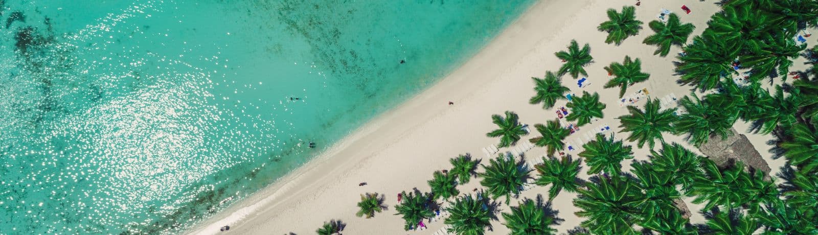 An aerial view of a pristine Caribbean beach with soft white sand, turquoise waters, and rows of lush green palm trees, where visitors relax by the clear sea under the tropical sun.