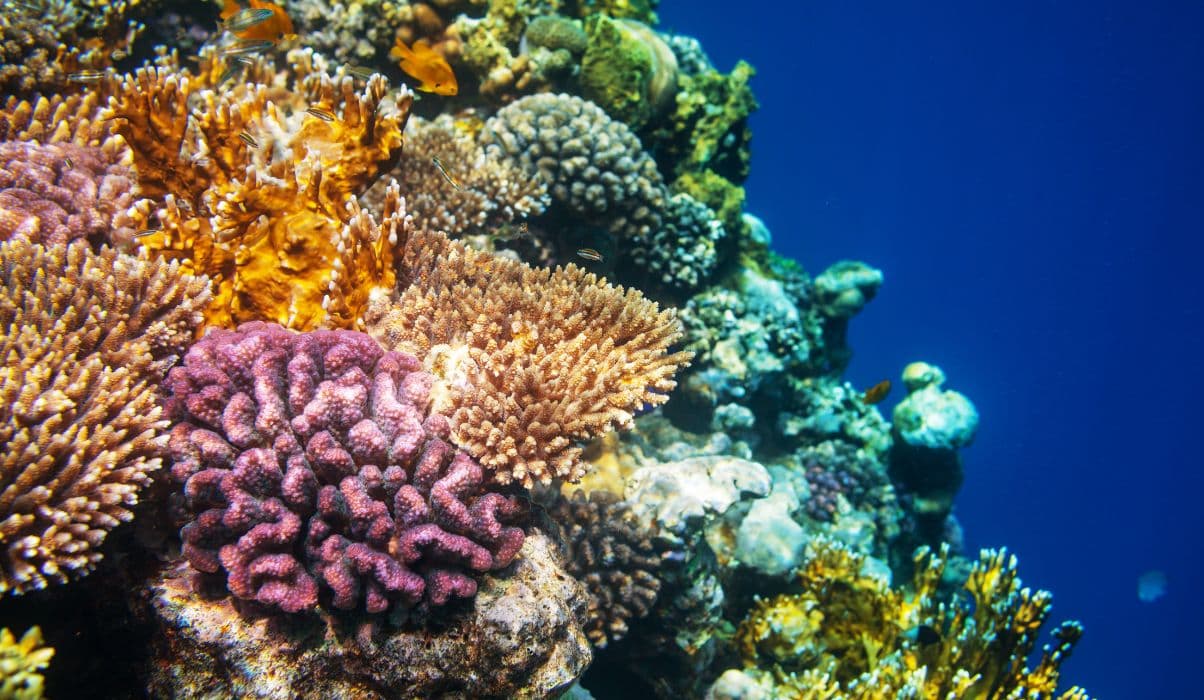 Adventure and Natural Wonders: