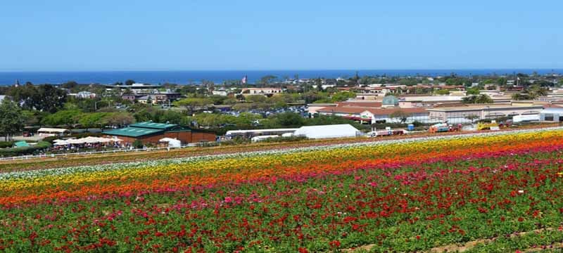 Destination San Diego