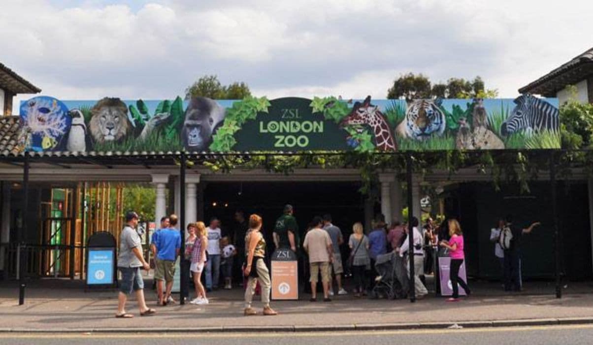 London Zoo