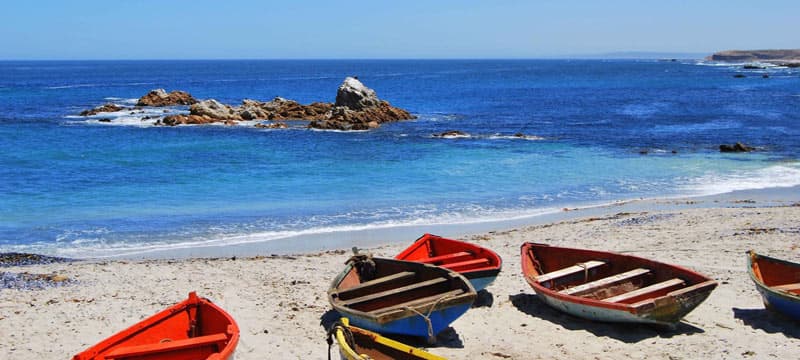 Destination Cape Town