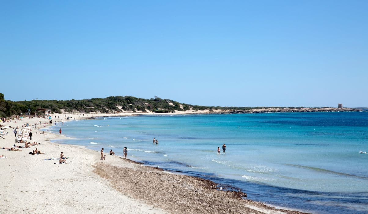 Las Salinas Beach (Ses Salines)