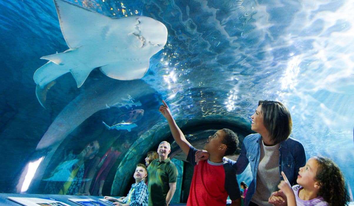 Cincinnati Zoo & Botanical Garden