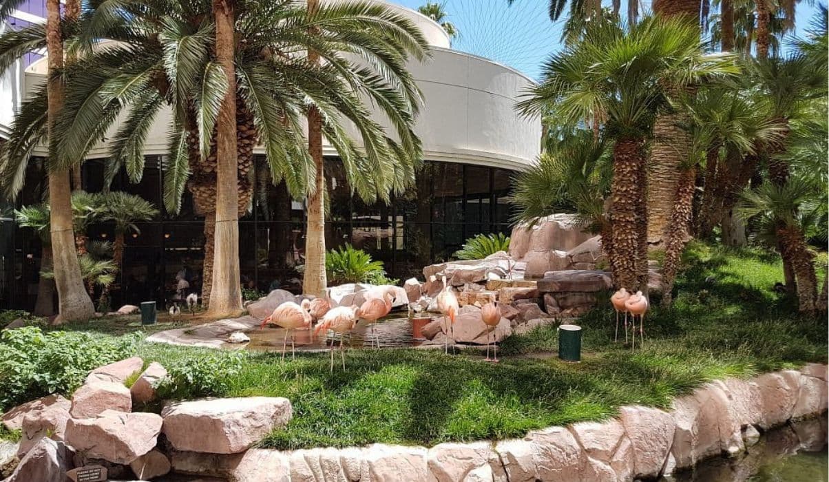 Flamingo Wildlife Habitat