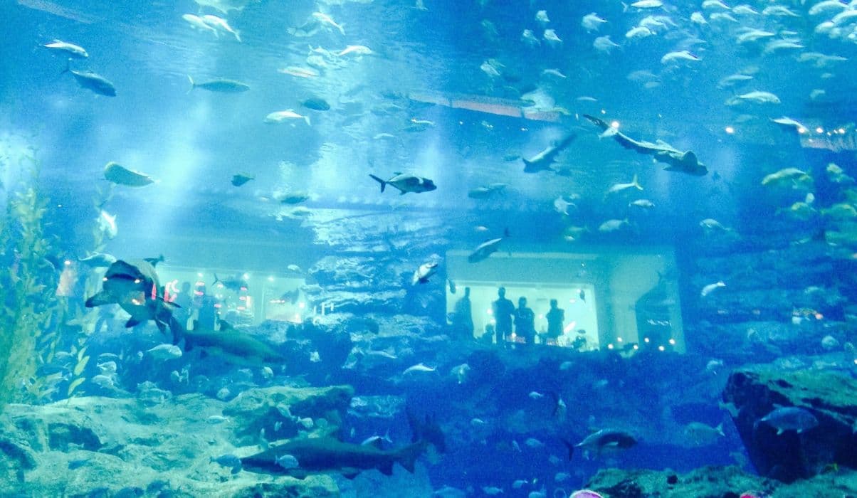 Miami Seaquarium