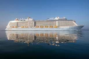 distant image of the cruise ship Anthem of the Seas